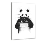 Bad Panda - Alu-Dibond Bild - Hustling Sharks