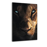 Be Focused - Plexibild - Hustling Sharks