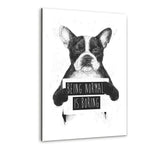 Being Normal Is Boring - Alu-Dibond Bild - Hustling Sharks