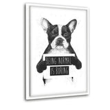 Being Normal Is Boring - Leinwandbild mit Schattenfuge "weiß" - Hustling Sharks