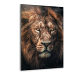 Dark Lion - Alu-Dibond Bild - Hustling Sharks