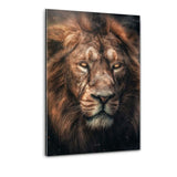 Dark Lion - Plexiglasbild - Hustling Sharks