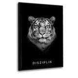 Eigenschaften des Erfolgs-Bundle | DISZIPLIN - Mockup| Hustling Sharks