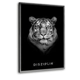Eigenschaften des Erfolgs-Bundle | DISZIPLIN - Mockup| Hustling Sharks