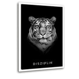 Eigenschaften des Erfolgs-Bundle | DISZIPLIN - Mockup| Hustling Sharks