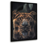 Diving Lion - Leinwandbild mit Schattenfuge "schwarz" - Hustling Sharks