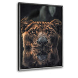Diving Lion - Leinwandbild mit Schattenfuge "silber" - Hustling Sharks