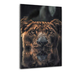Diving Lion - Plexiglasbild - Hustling Sharks