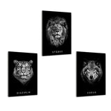 Eigenschaften des Erfolgs-Bundle | Bundle Mockup | Hustling Sharks