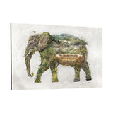 Elephant World - Plexiglasbild - Hustling Sharks