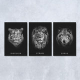 Eigenschaften des Erfolgs-Bundle | Mockup mit Hintergrund - grau | Hustling Sharks