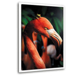 Flamingo And The Frog - Leinwandbild mit Schattenfuge "weiß" - Hustling Sharks