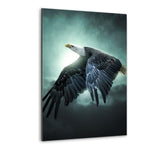 Flying Eagle - Alu-Dibond Bild - Hustling Sharks