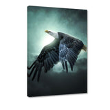 Flying Eagle - Leinwandbild - Hustling Sharks