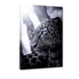 Focused Leopard - Leinwandbild - Hustling Sharks