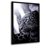 Focused Leopard - Leinwandbild mit Schattenfuge "schwarz" - Hustling Sharks