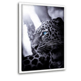 Focused Leopard - Leinwandbild mit Schattenfuge "weiß" - Hustling Sharks