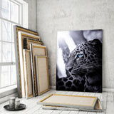 Focused Leopard - Mockup mit Hintergrund 2 - Hustling Sharks