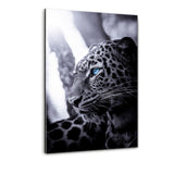 Focused Leopard - Plexiglasbild - Hustling Sharks
