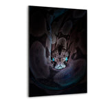 Fucused Snake - Alu-Dibond Bild - Hustling Sharks