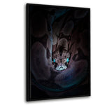 Fucused Snake - Leinwandbild mit Schattenfuge "schwarz" - Hustling Sharks