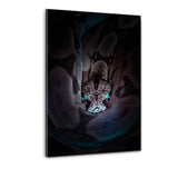 Fucused Snake - Plexiglasbild - Hustling Sharks