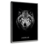 Eigenschaften des Erfolgs-Bundle | FOKUS - Mockup| Hustling Sharks