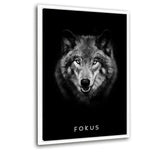 Eigenschaften des Erfolgs-Bundle | FOKUS - Mockup| Hustling Sharks