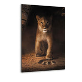 Lion-Bundle | Footprint - Mockup | Hustling Sharks