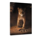 Footprints - Leinwandbild - Hustling Sharks