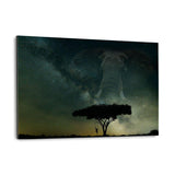 Galaxy Elephant - Alu-Dibond Bild - Hustling Sharks