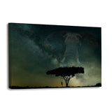 Galaxy Elephant - Leinwandbild - Hustling Sharks