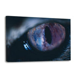 Galaxy Eye #2 - Leinwandbild - Hustling Sharks