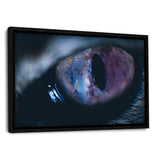 Galaxy Eye #2 - Leinwandbild mit Schattenfuge "schwarz"- Hustling Sharks