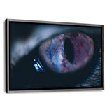 Galaxy Eye #2 - Leinwandbild mit Schattenfuge "silber" - Hustling Sharks