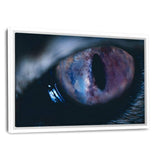 Galaxy Eye #2 - Leinwandbild mit Schattenfuge "weiß" - Hustling Sharks