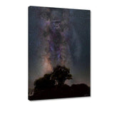 Galaxy Gorilla - Leinwandbild - Hustling Sharks