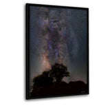 Galaxy Gorilla - Leinwandbild mit Schattenfuge "schwarz" - Hustling Sharks