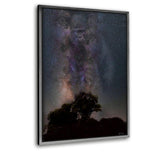Galaxy Gorilla - Leinwandbild mit Schattenfuge "silber" - Hustling Sharks