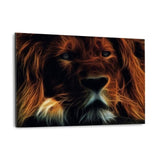 Glowing Lion - Alu-Dibond Bild - Hustling Sharks