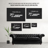 Darstellung der Größen - Hustling Sharks