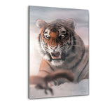 I Am The Boss - Plexiglasbild - Hustling Sharks