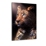 Jaguar In The Dark - Alu-Dibond Bild - Hustling Sharks