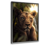 Jungle Lion - Leinwandbild mit Schattenfuge "silber" - Hustling Sharks