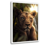 Jungle Lion - Leinwandbild mit Schattenfuge "weiß" - Hustling Sharks
