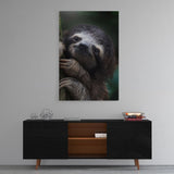 Leinwandbild mit Hintergrund 2 - Cute Sloth - Hustling Sharks