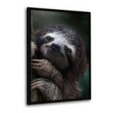 Leinwandbild mit Schattenfuge "schwarz" - Cute Sloth - Hustling Sharks