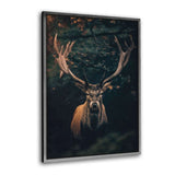 Moody Deer - Leinwandbild mit Schattenfuge "schwarz"