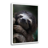 Leinwandbild mit Schattenfuge "weiß" - Cute Sloth - Hustling Sharks