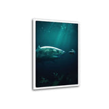 Leinwandbild mit Schattenfuge "weiß" - Shark Meets Betta - Hustling Sharks